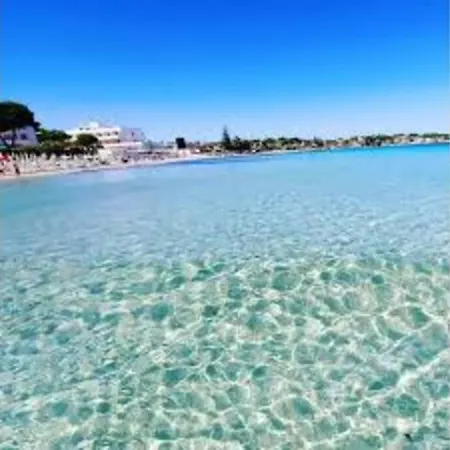 Loft Tropical - 100 Metri Dalla Spiaggia Di Sabbia E Dal Mare Apartment