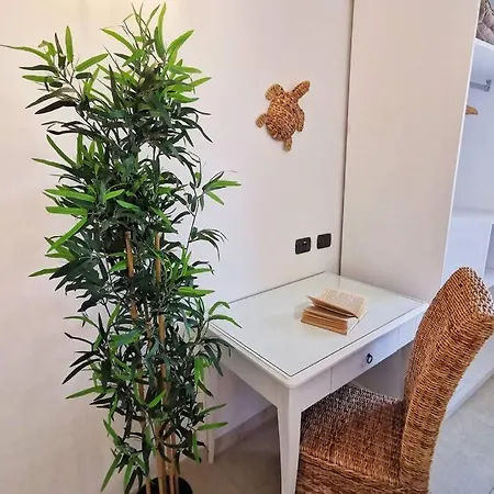 Loft Tropical - 100 Metri Dalla Spiaggia Di Sabbia E Dal Mare Apartment *